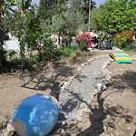 Apartament Arocaria - Peaceful *