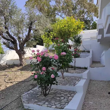 Arocaria - Peaceful Apartment Faliraki