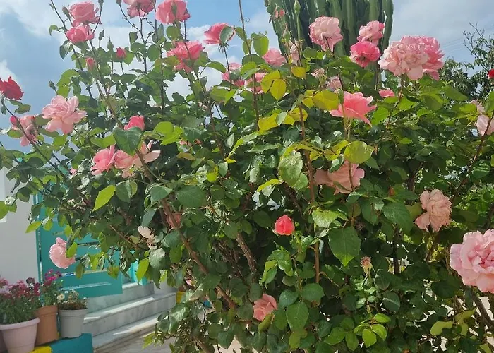 Arocaria - Peaceful * Faliraki