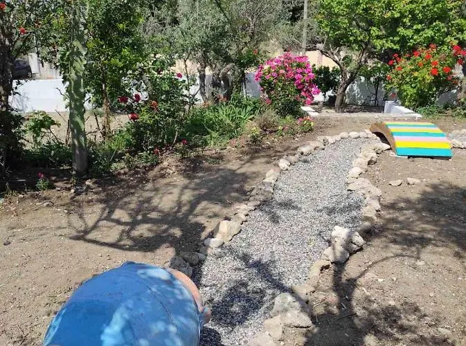 Daire Arocaria - Peaceful *